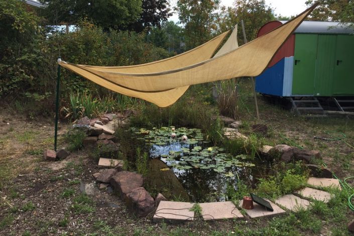 Teich im Schulgarten